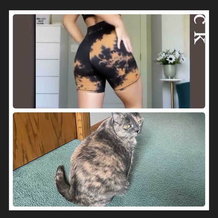 Person in tie-dye workout shorts posing indoors above a sitting tortoiseshell cat on a carpeted floor.
