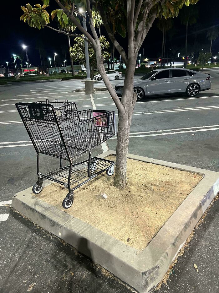 Shopping cart left abandoned on a tree island in an empty parking lot at night showing people allergic to acting like sensible adults.
