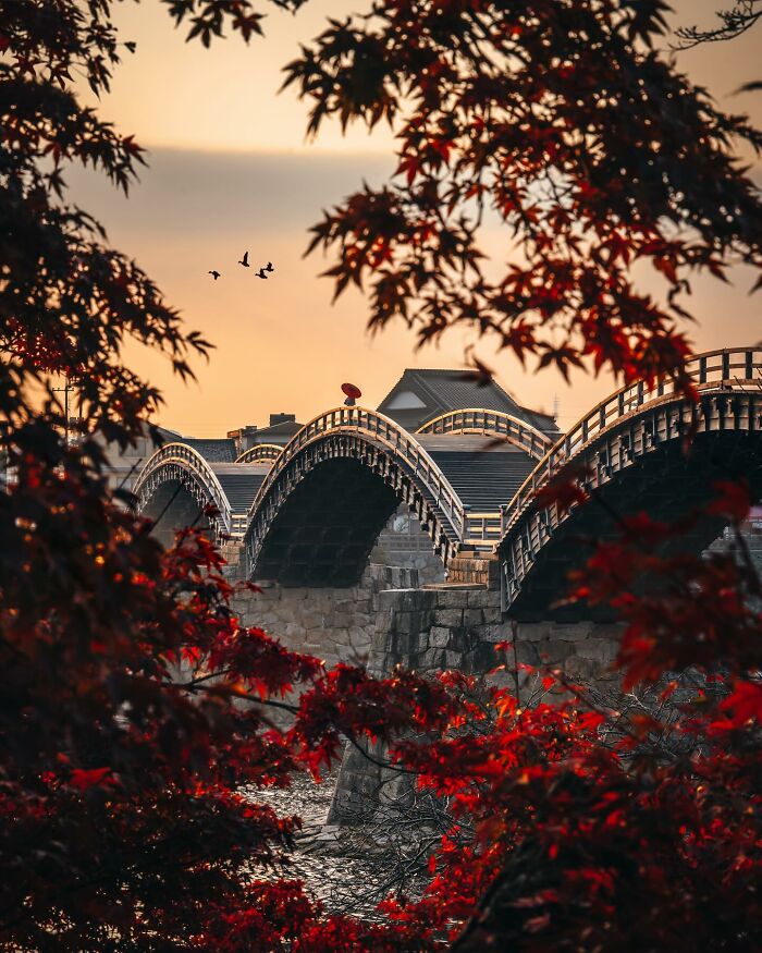 Traditional arched bridge over river framed by red autumn leaves capturing everyday life in Asia.