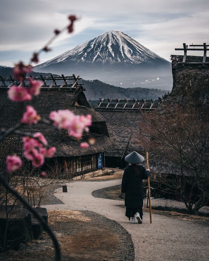 Traditional Asian village path with a person walking, cherry blossoms, and snow-capped mountain in the background, everyday life.