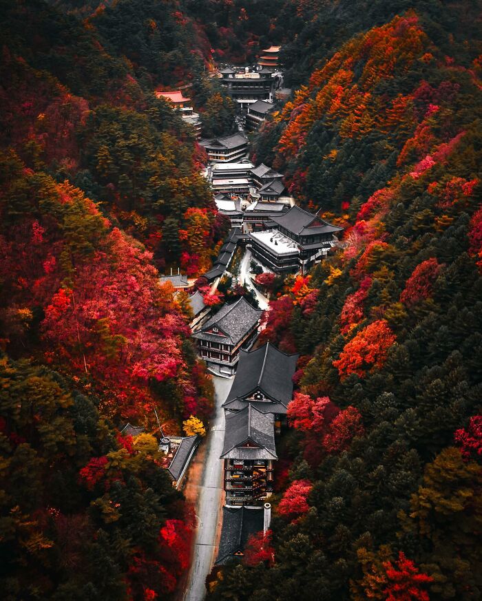 Traditional Asian buildings nestled in a vibrant autumn forest, showcasing captivating glimpses of everyday life in Asia.