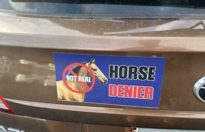 Bumper sticker on a brown car trunk with a horse image and text reading horse denier in a clever design.