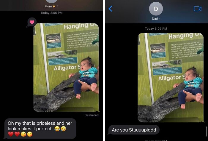 Mom and dad text reactions to a baby holding an alligator's snout, showing funny differences between moms and dads.