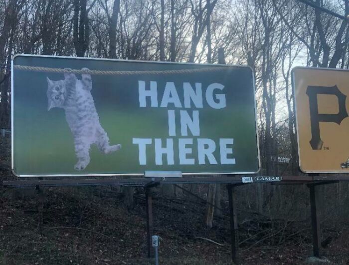 Funny and weird billboard showing a cat hanging from a rope with the text hang in there in a wooded area.