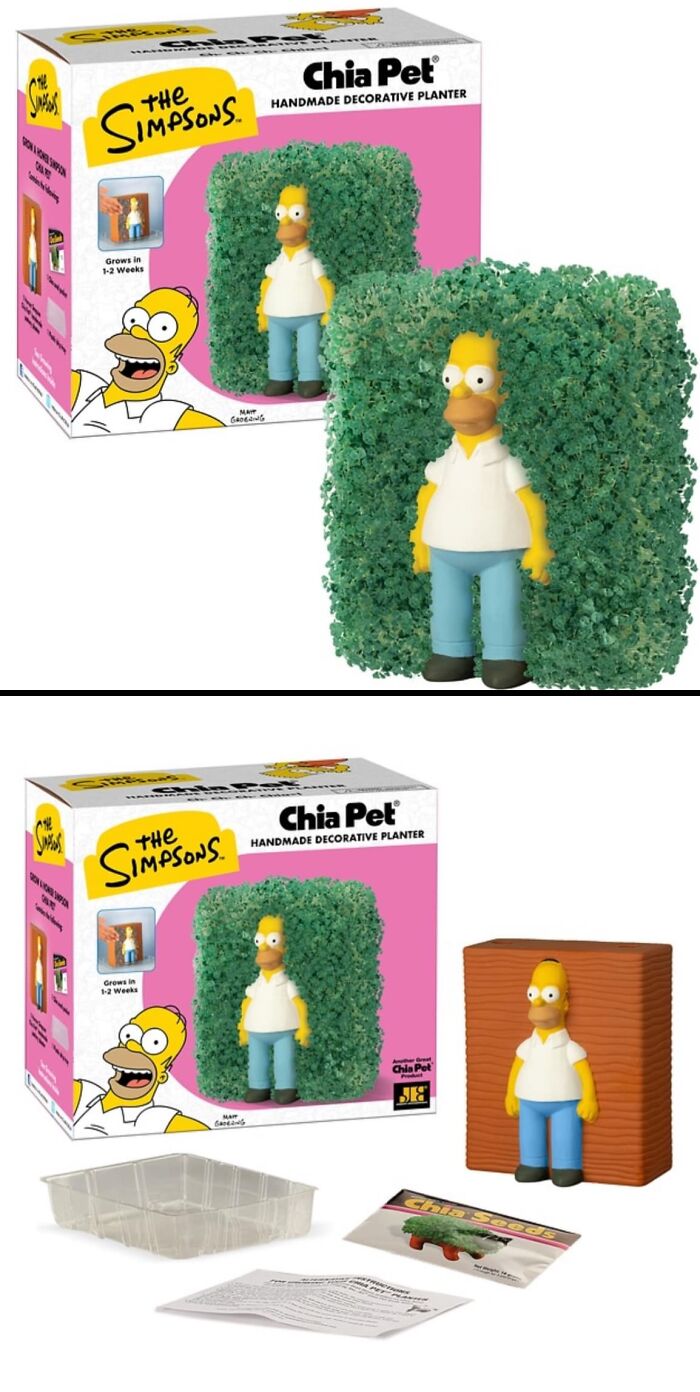 The Simpsons Homer Chia Pet planter with green chia sprouts growing around the figure, a quirky decorative purchase.