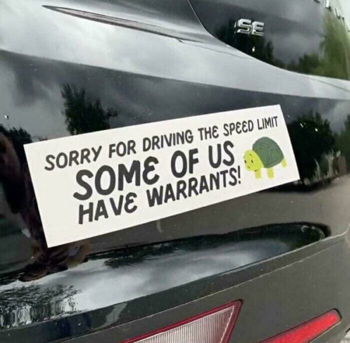Bumper sticker on black car humorously apologizing for driving the speed limit with a turtle illustration, showcasing clever bumper stickers.
