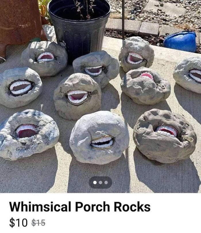 Whimsical porch rocks with zippers revealing smiling mouths, one of the weirdest purchases people would make quickly.
