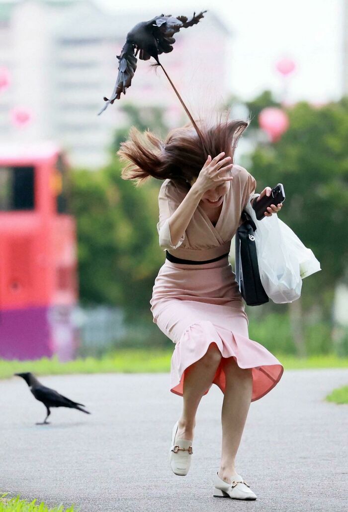 Woman's hair caught by bird moments before disaster in hilarious split second photo outdoors on path