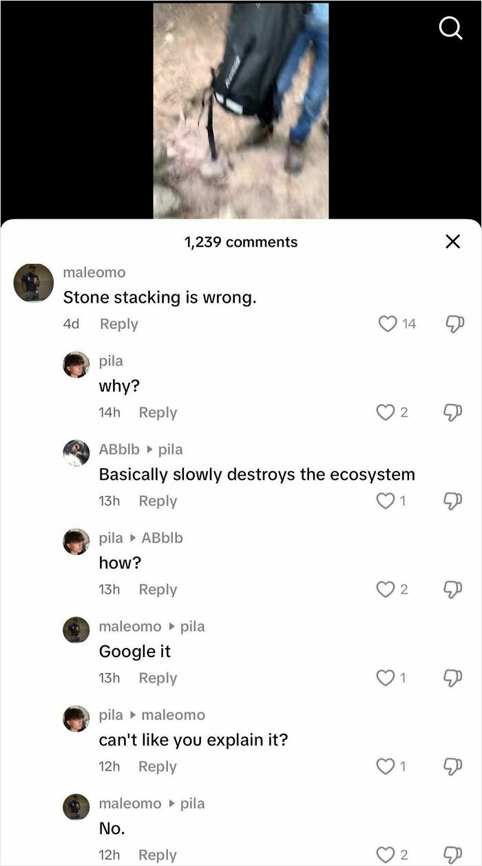 Conversation about stone stacking's impact in a comment thread showing engaging and informative comments.