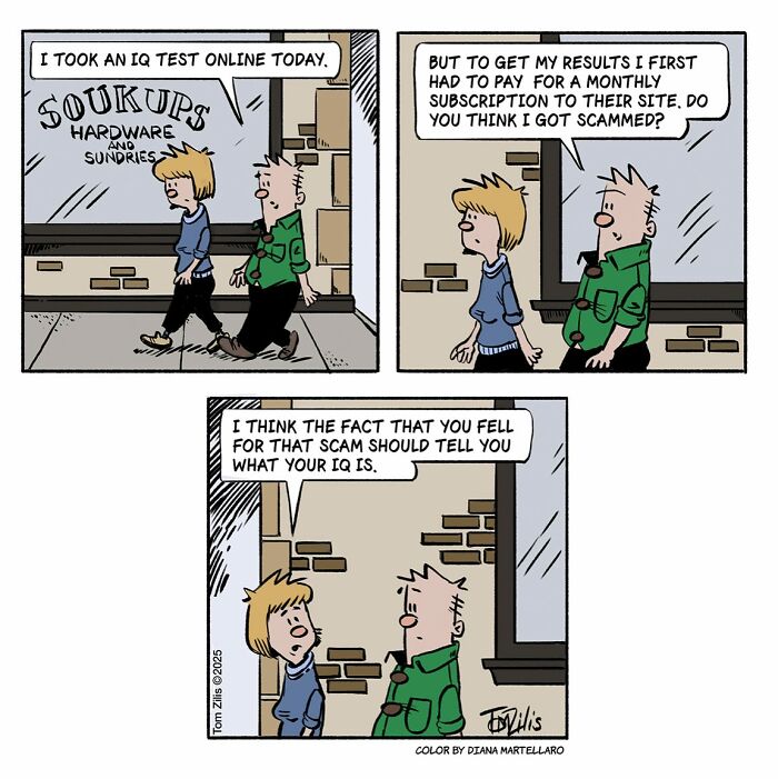 Comic strip showing two characters discussing an IQ test online, capturing the quirky and funny side of life.