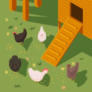 eloiseparry-jones_1 avatar