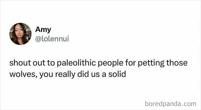 Amy’s tweet humorously praises paleolithic people for petting wolves, showcasing people hilariously speaking their truth.