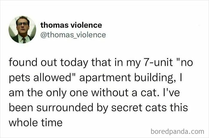 Tweet humorously revealing secret cats in a no-pets-allowed apartment, showcasing people hilariously speaking their truth.