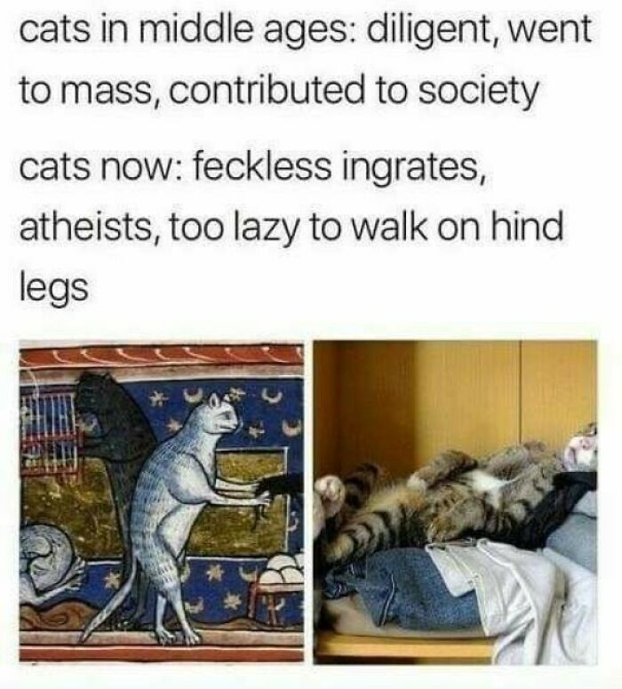 Medieval cats depicted as diligent and societal contrasted with modern cats lounging lazily on furniture.