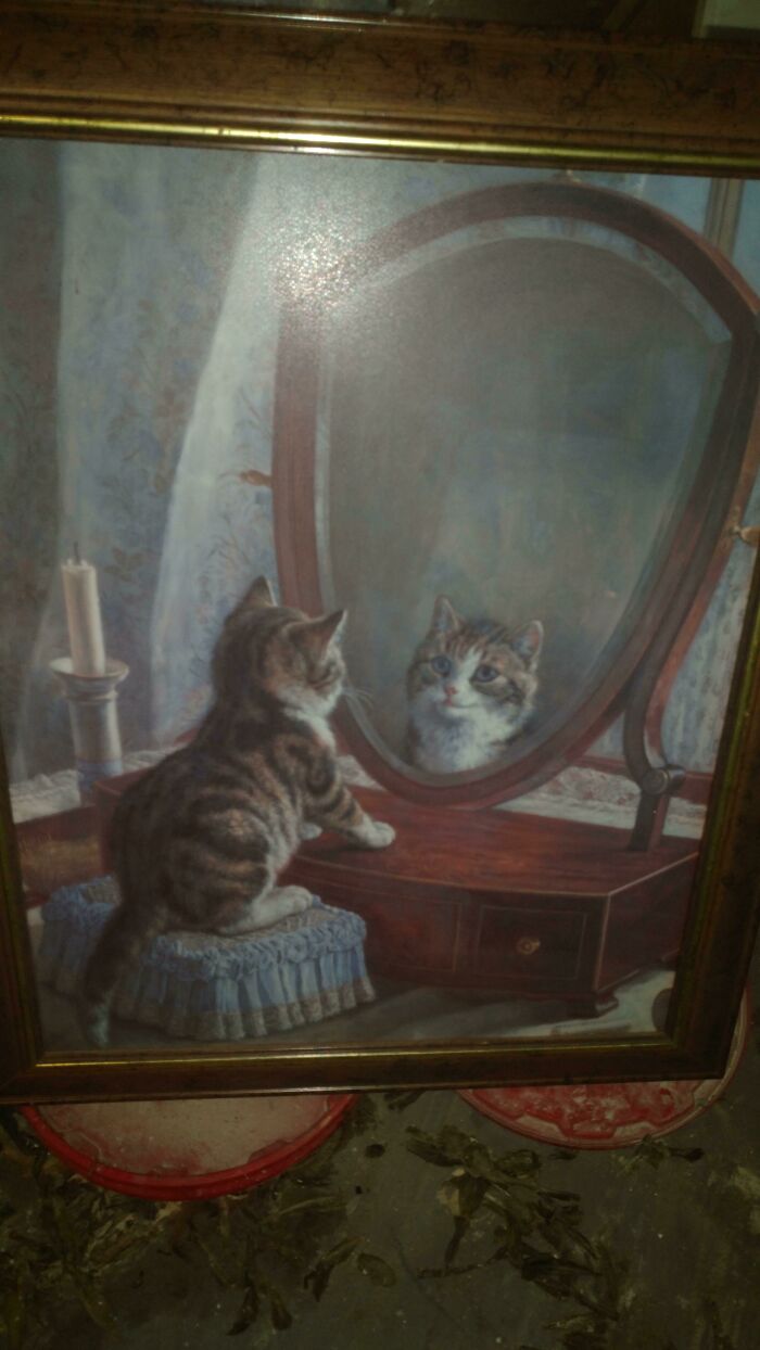 Tabby cat sitting on a cushion in front of a vintage mirror, reflecting its face in a medieval cats style painting.