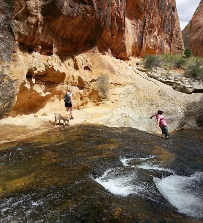 Two hikers and a dog near rocky cliffs by rushing water moments before potential disaster struck rope broke incident.