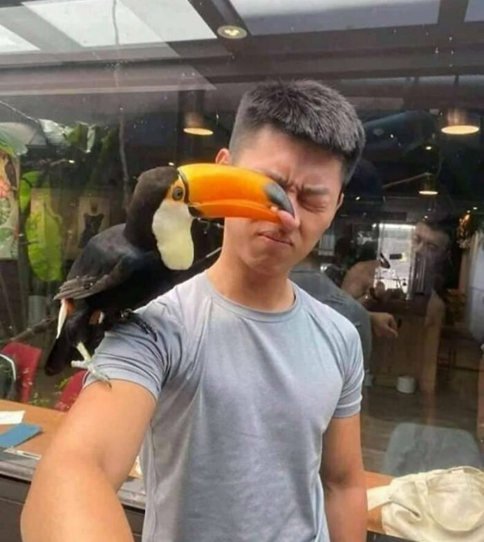 A man with a toucan on his shoulder, the bird's beak pressing against his face capturing a perfect moment before disaster.