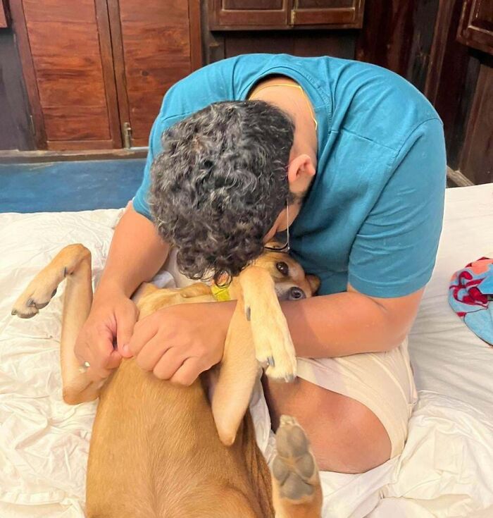 Man in a blue shirt hugging and playing with an adorable adopted dog on a bed, showing rescue animal bond.