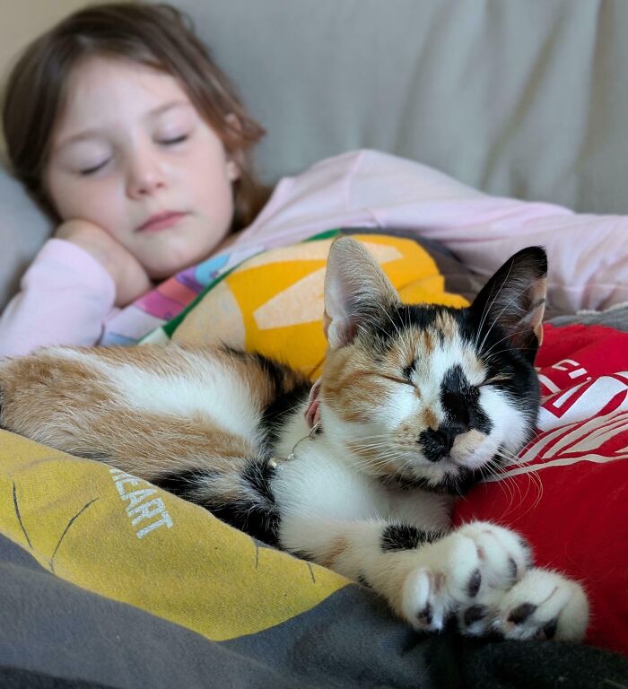 Calico cat and young girl peacefully resting together, showcasing adorable adopted animals who rescued their humans this month.