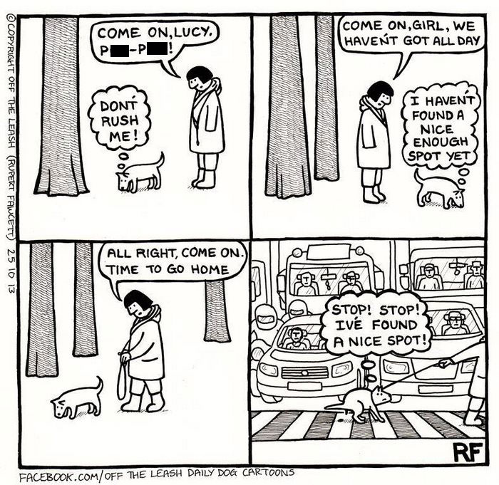 Comic strip illustrating the chaos and joy of owning a dog during a walk with humorous dog and owner interactions.