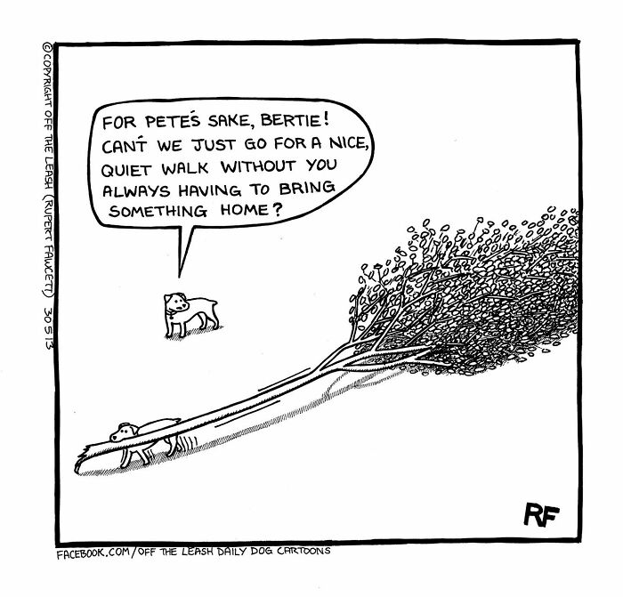 Comic showing the chaos and joy of owning a dog as a dog drags a large branch on a walk.
