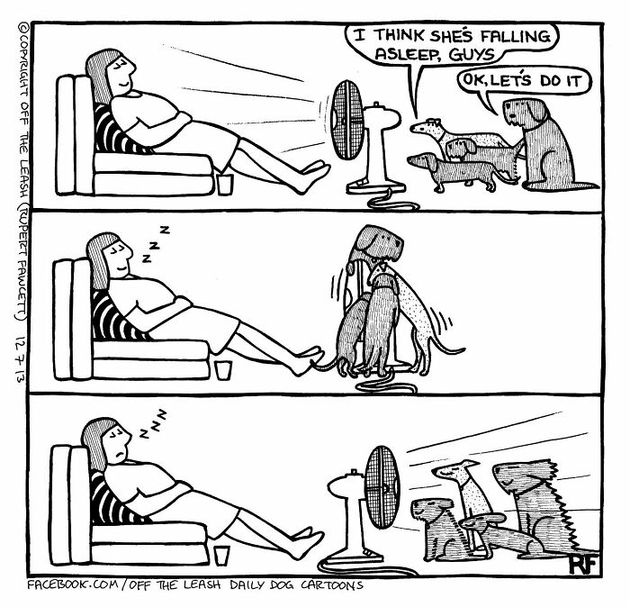 Woman napping on couch while dogs prepare to run, capturing chaos and joy of owning a dog in a comic style.