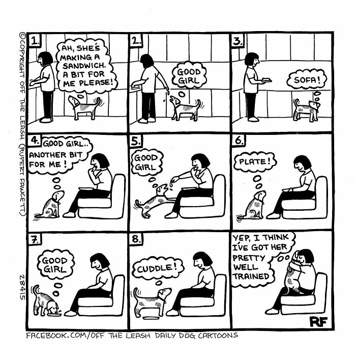 Black and white comic showing the chaos and joy of owning a dog with a woman training her enthusiastic pet.