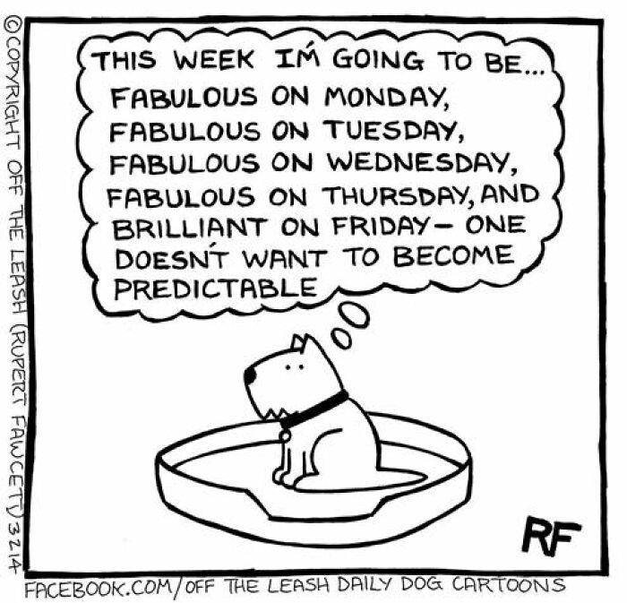 Comic of a dog thinking about plans to be fabulous all week, capturing the chaos and joy of owning a dog.