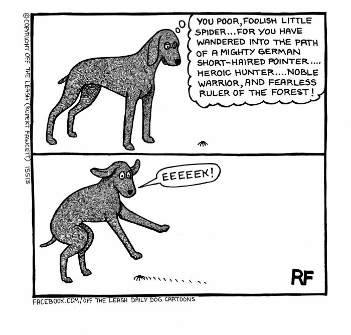 Comic of a German short-haired pointer dog startled by a small spider, showing the chaos and joy of owning a dog.