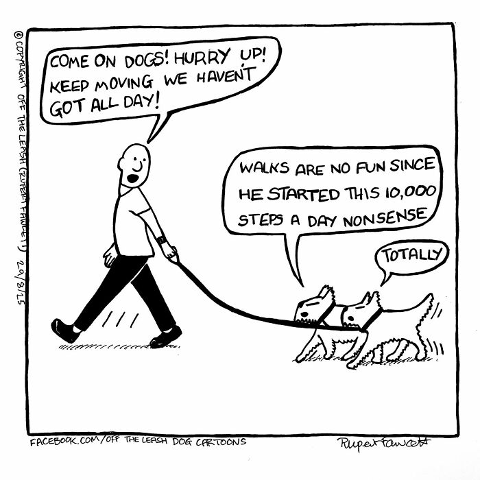 Comic showing the chaos and joy of owning dogs during a walk with a man urging them to keep moving.