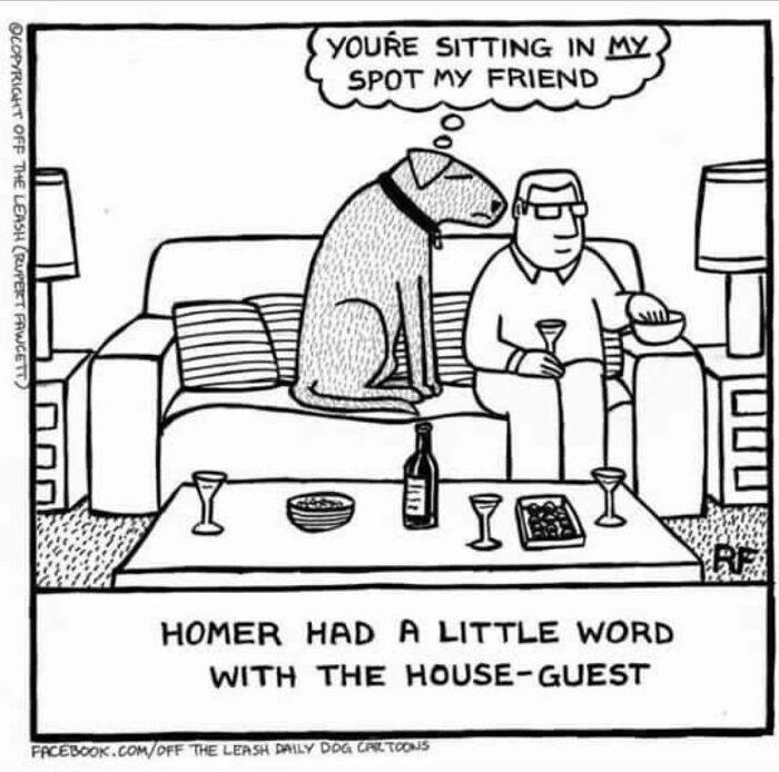 Cartoon showing the chaos and joy of owning a dog with a dog and man sharing a couch in a living room.