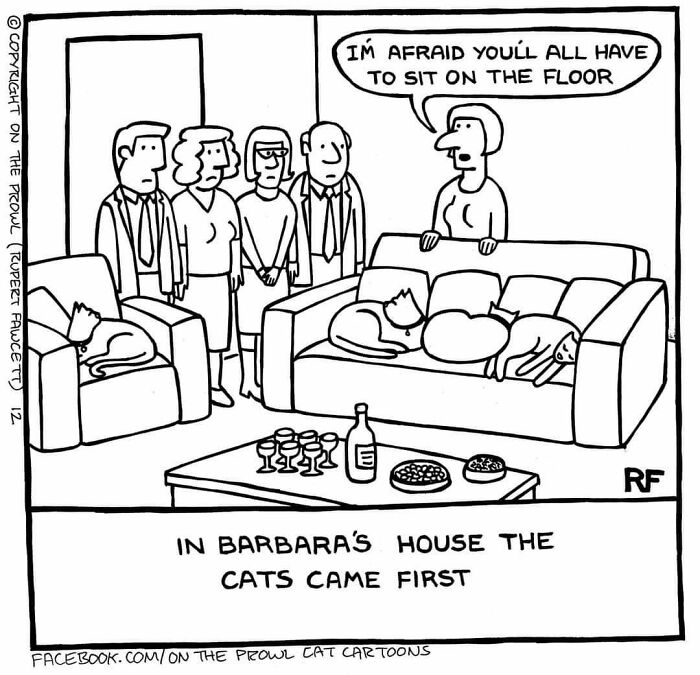 Comic showing a woman telling guests they must sit on the floor as cats take priority on the couch, illustrating pet ownership chaos.
