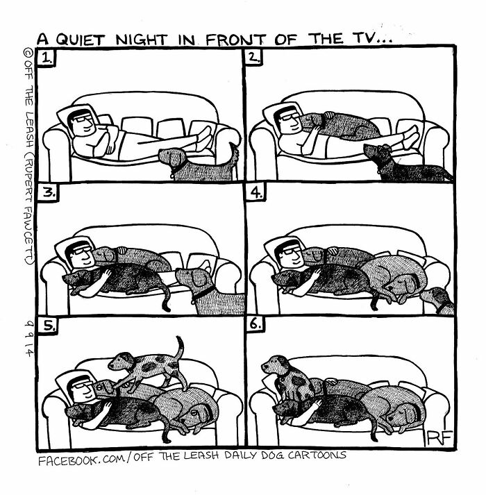 Comic strip showing the chaos and joy of owning a dog as a man is gradually covered by multiple dogs on a couch.