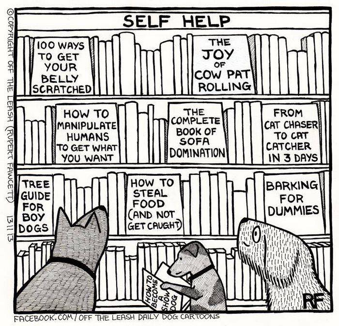 Comic bookshelf featuring humorous dog self-help books illustrating the chaos and joy of owning a dog.