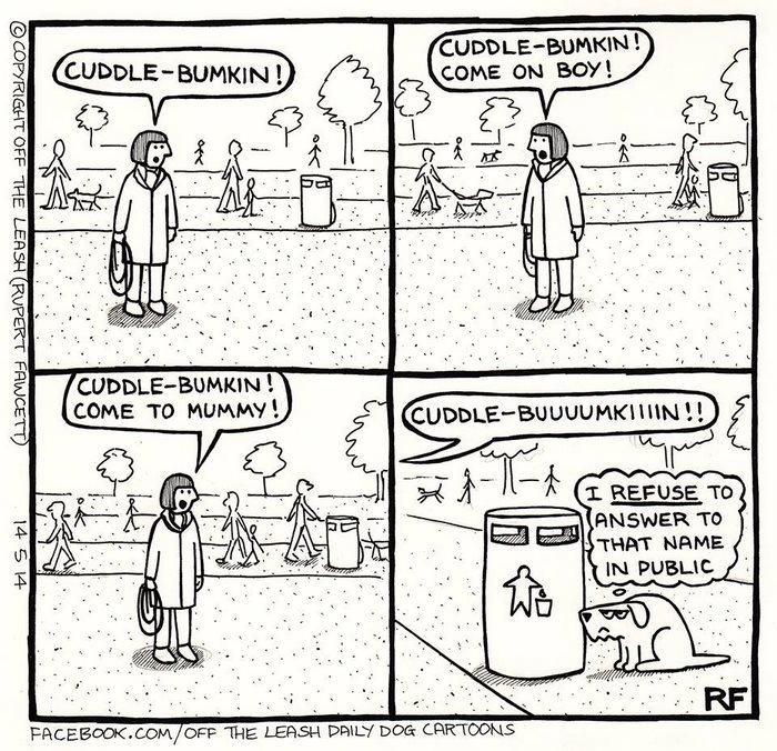 Comic of woman calling dog with a funny nickname, illustrating the chaos and joy of owning a dog in a park setting.