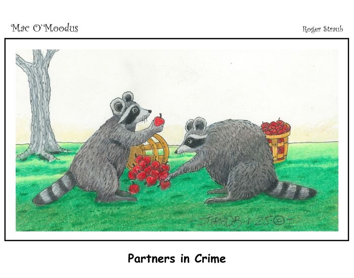 Two raccoons sharing apples from baskets in a playful Mac O’Moodus comic by Roger Straub about puns.