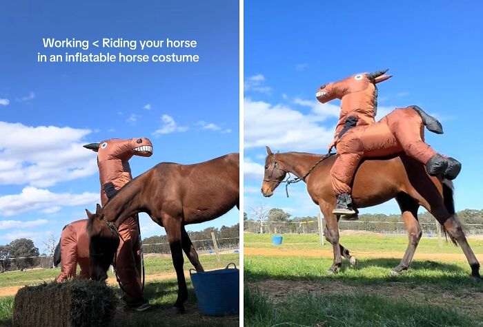 Person in inflatable horse costume interacting with a real horse in a grassy outdoor area captured in weird and funny pictures.
