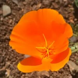 jacqueline_andrade avatar