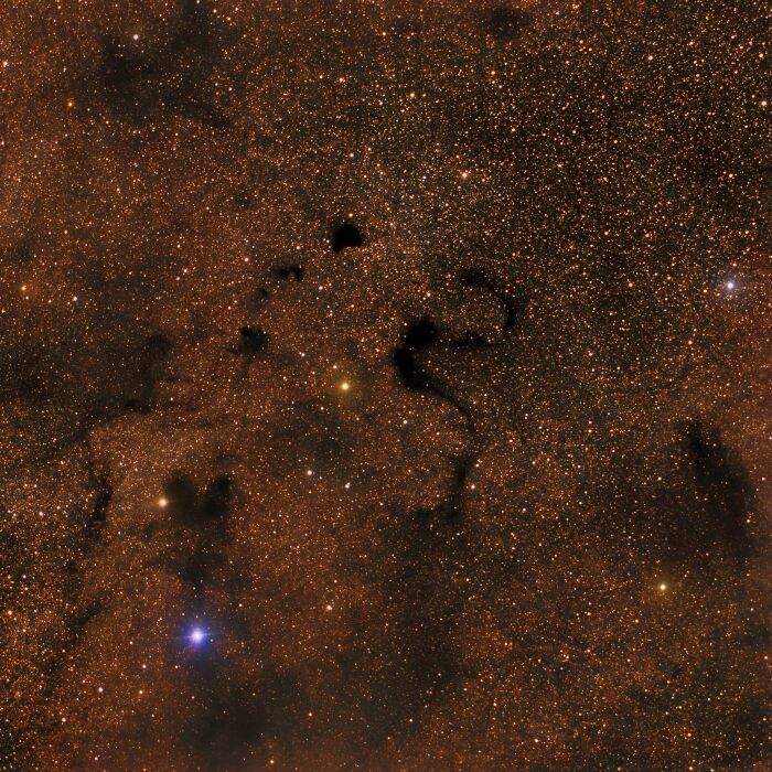 Epic astronomy photo showing a dense star field with dark cosmic dust clouds, highlighting the beauty and mystery of space.