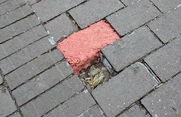Square missing gray brick replaced by a pink textured block next to scattered dry leaves in a weird and cursed outdoor pavement.