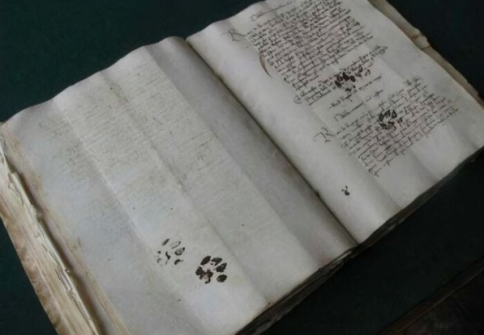 Medieval cats paw prints on ancient manuscript pages showing historic evidence of cats in human life.