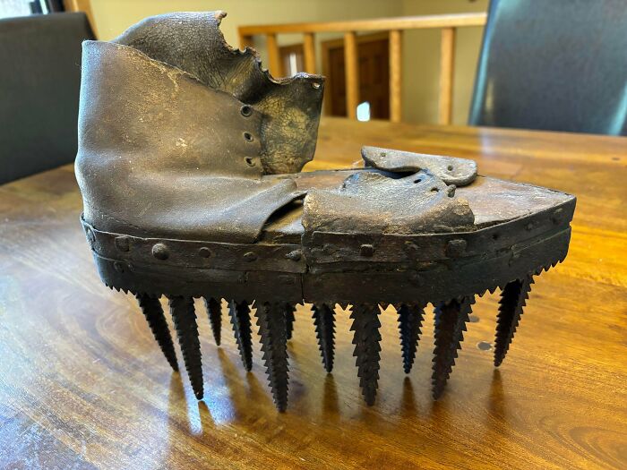 Worn old shoe with large spikes on the sole, an unusual historic artifact found by people unsure of its use.