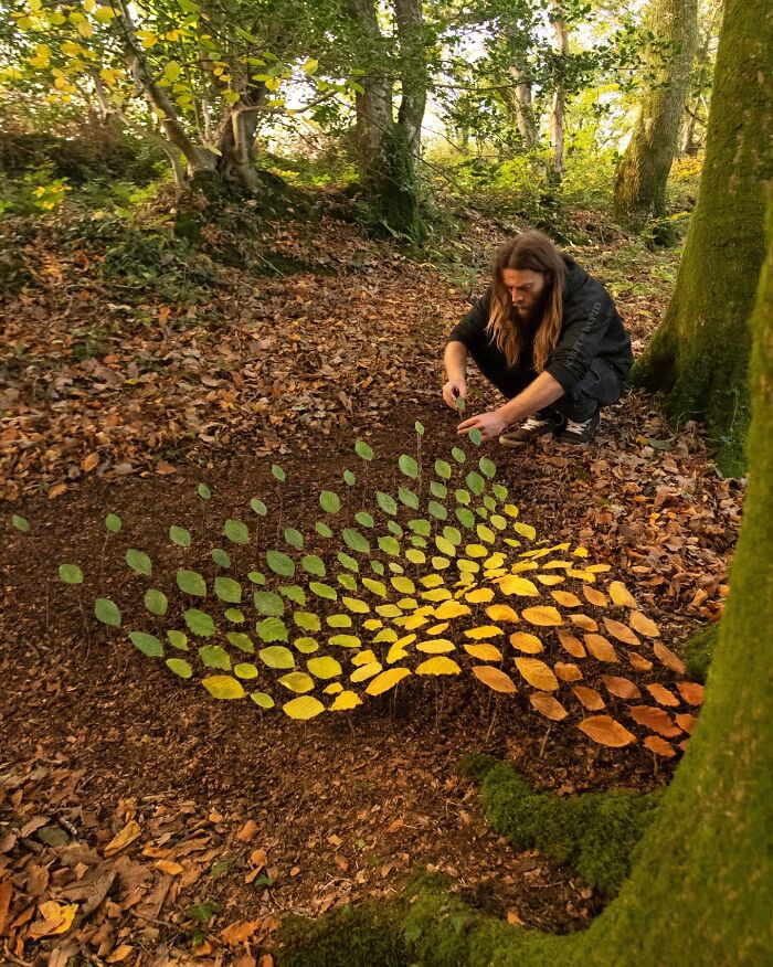 Man arranging colorful leaves on forest floor creating hypnotic land art near trees in Wales’s natural setting.