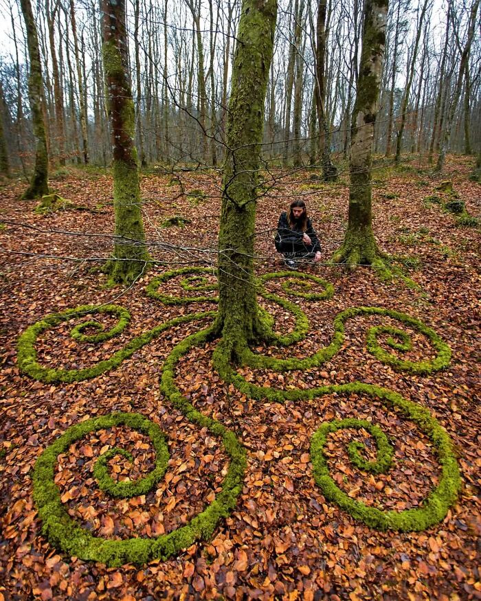Artist Jon Foreman creating hypnotic land art with moss spirals on a forest floor covered in autumn leaves in Wales.