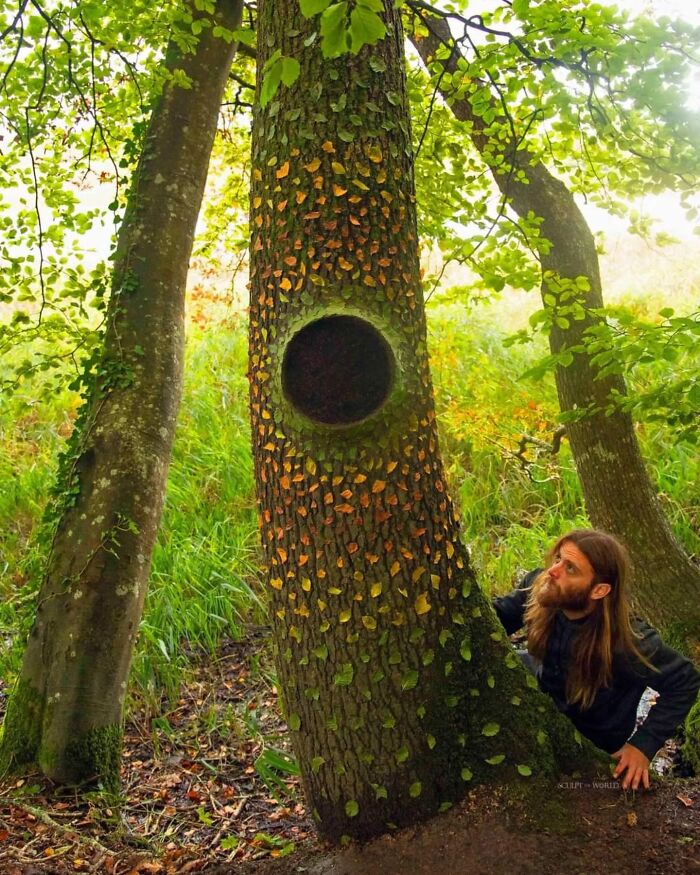 Man crouching by a tree with colorful leaf art in a forest, showcasing sculpt land art inspired by Wales’s beaches.