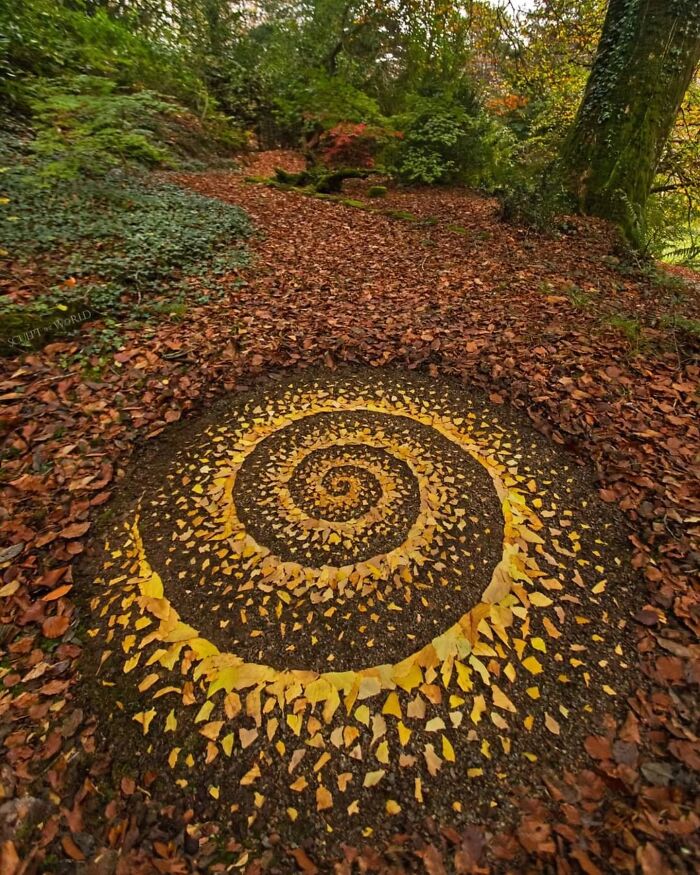Spiral land art made with yellow leaves on a forest floor, showcasing Jon Foreman's hypnotic sculpt world style.