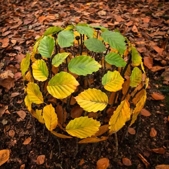Sculpt the World land art with green and yellow leaves arranged in a spherical shape on an autumn forest floor.