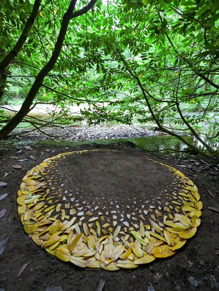 Land art made from yellow leaves arranged in a circle on a forest floor, showcasing Sculpt The World creativity.