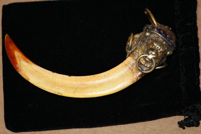 Old carved tusk with ornate metalwork, found artifact that puzzled people until the internet helped identify it.