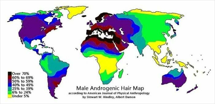World map displaying male androgenic hair distribution by region with color-coded percentages and a legend for reference.